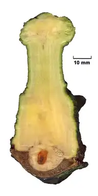 306993