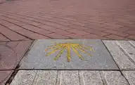 307951