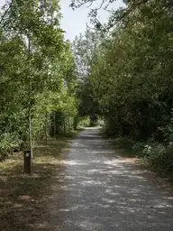 308017