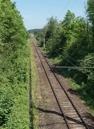 30810
