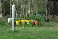 308371