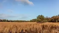 308471