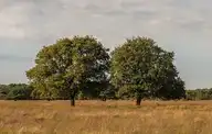 308485