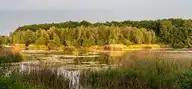 308621