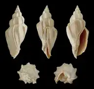 309084