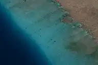 309505