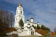 309781