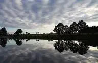 309847