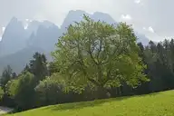 310070