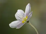 310604