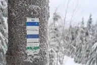311645