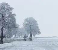 313012