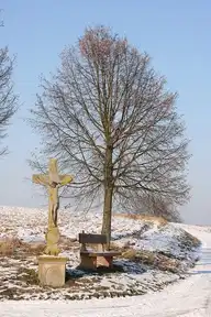 313050