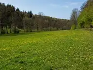 313320