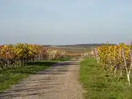 313460