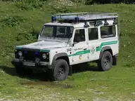 31395