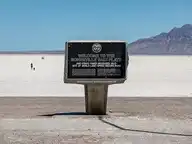 313991
