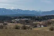 314059