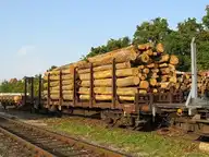 31463