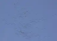 315059
