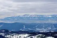 315391