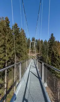 316244