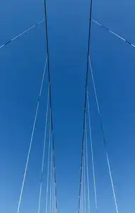 316247