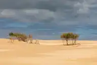 316470