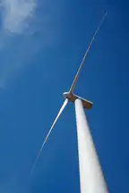 316555