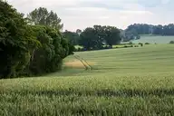 316564