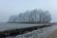 316583
