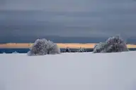 316934