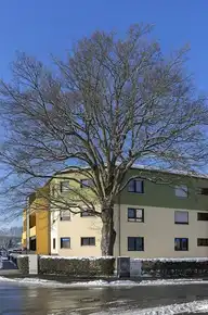 317003