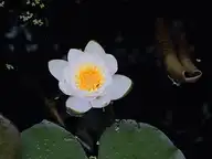 317198