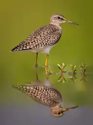 317798