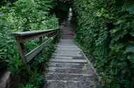 317882