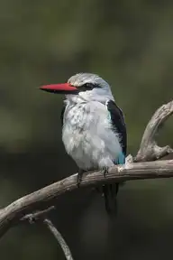 317920