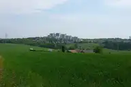 318447