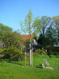 318515