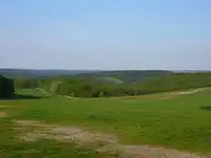 318574