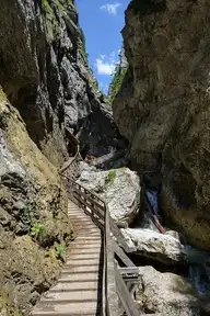 318733