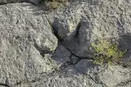 319287