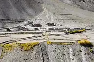 319323