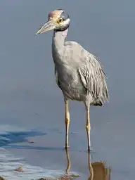 319566