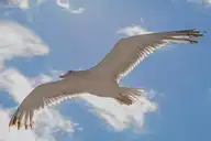 319579
