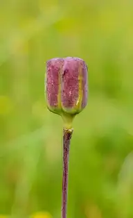 320248