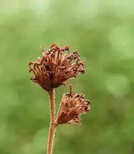 320267