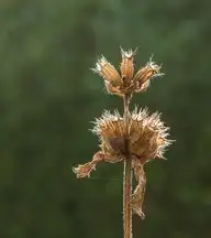 320273