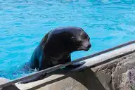 320418