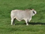320709